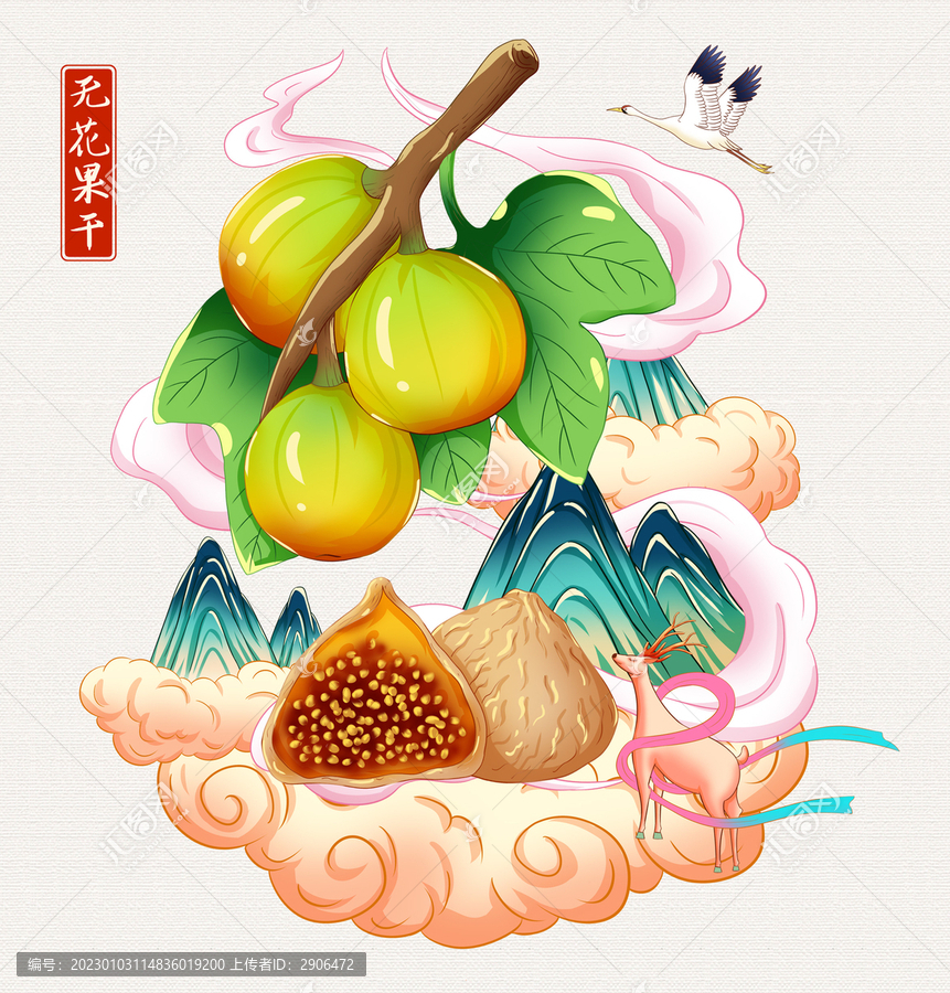 無花果干手繪插畫