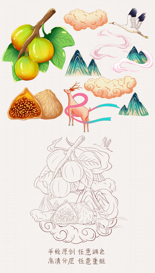 無花果干手繪插畫
