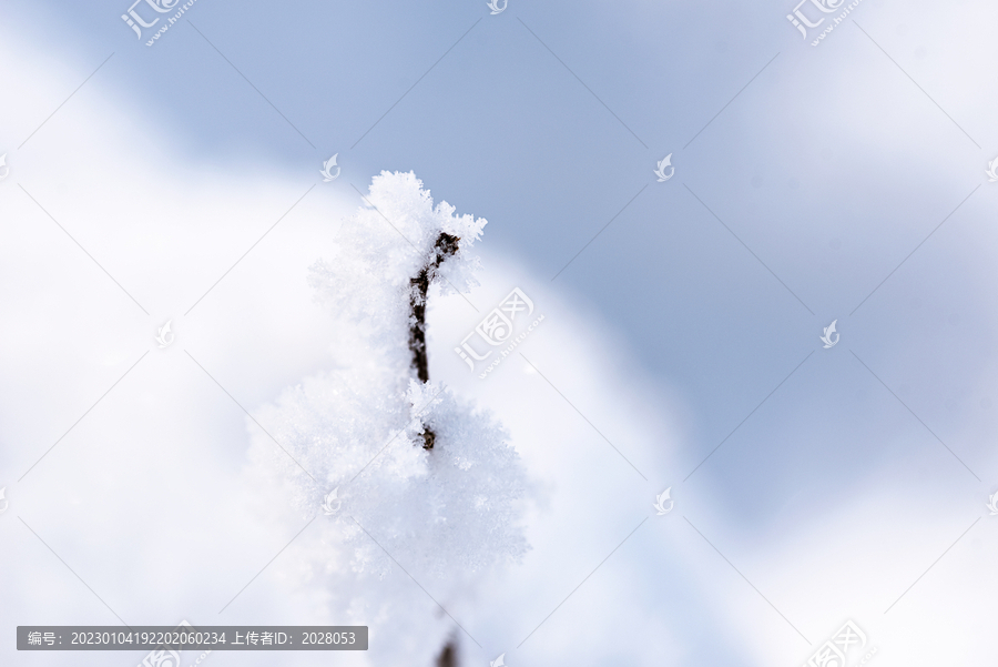 冬季微距特写雪景图片