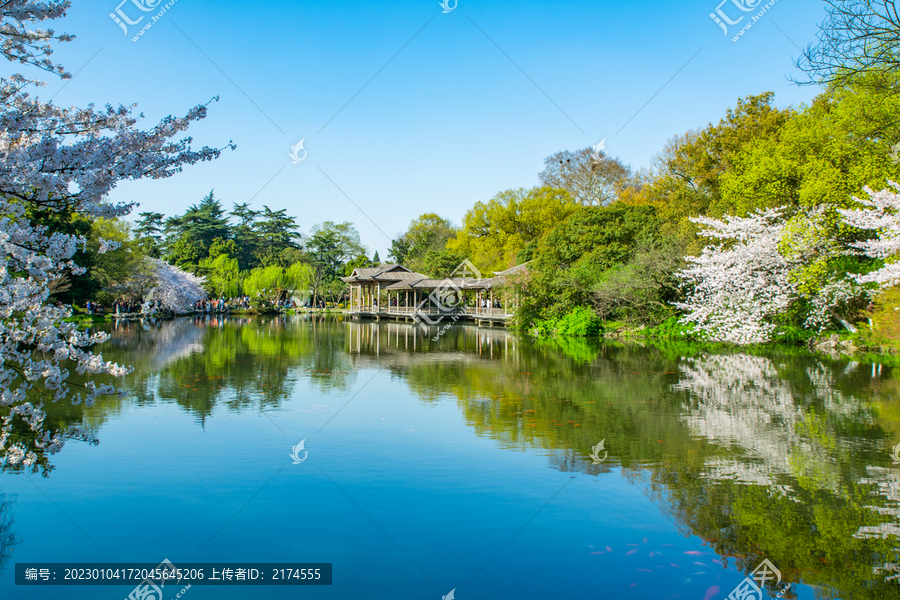 園林春景