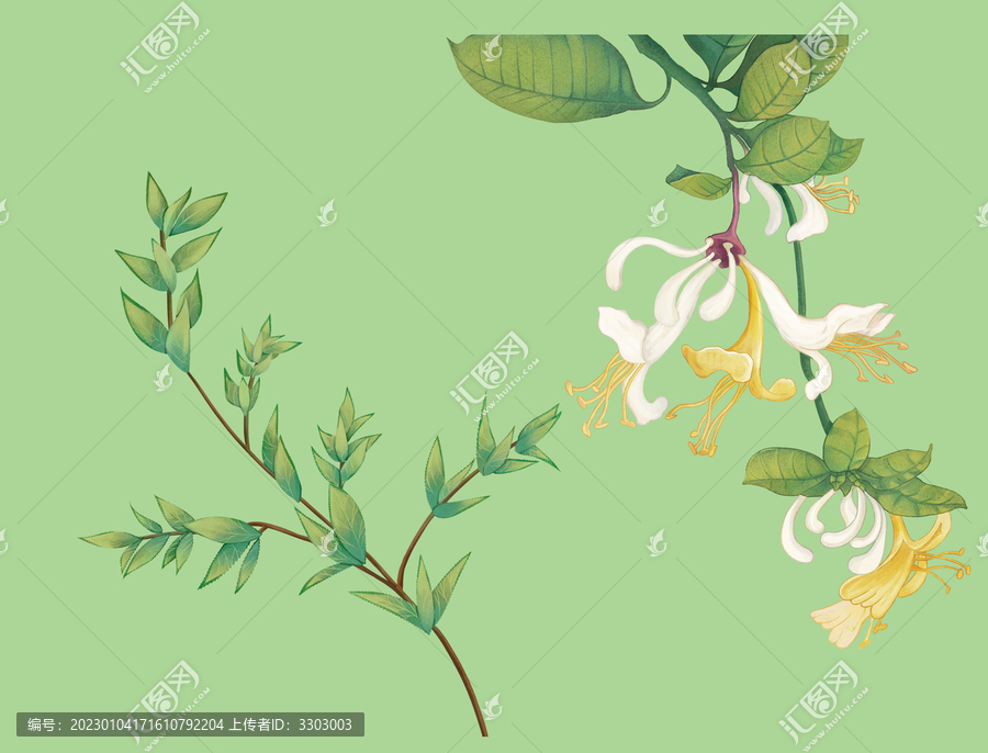 金銀花
