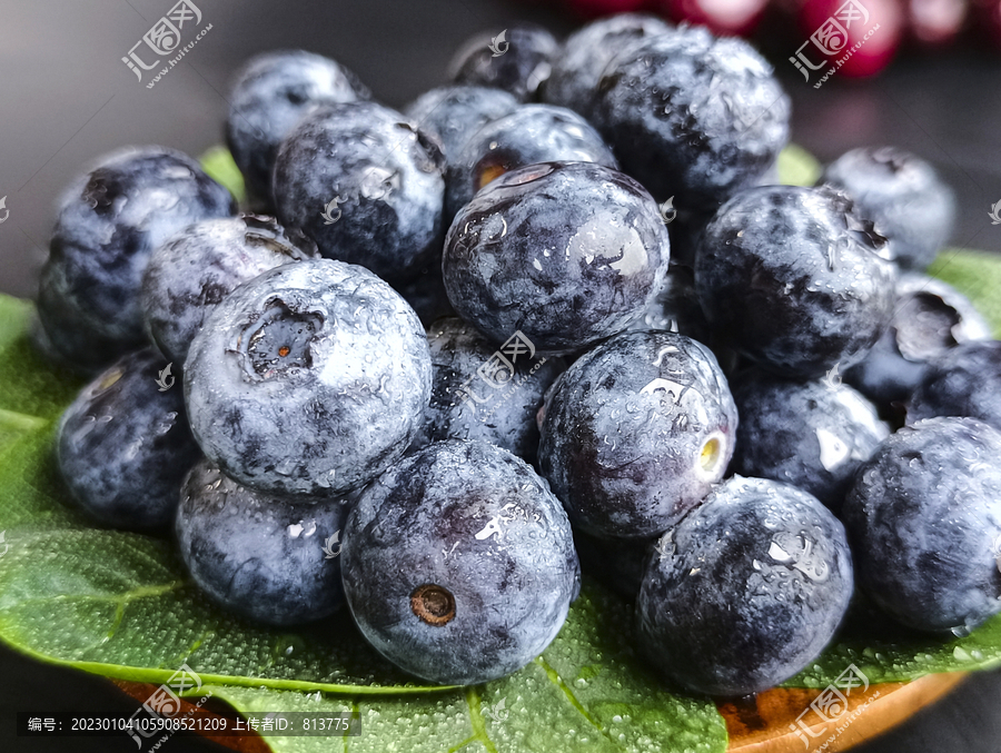 水嫩浆果蓝莓