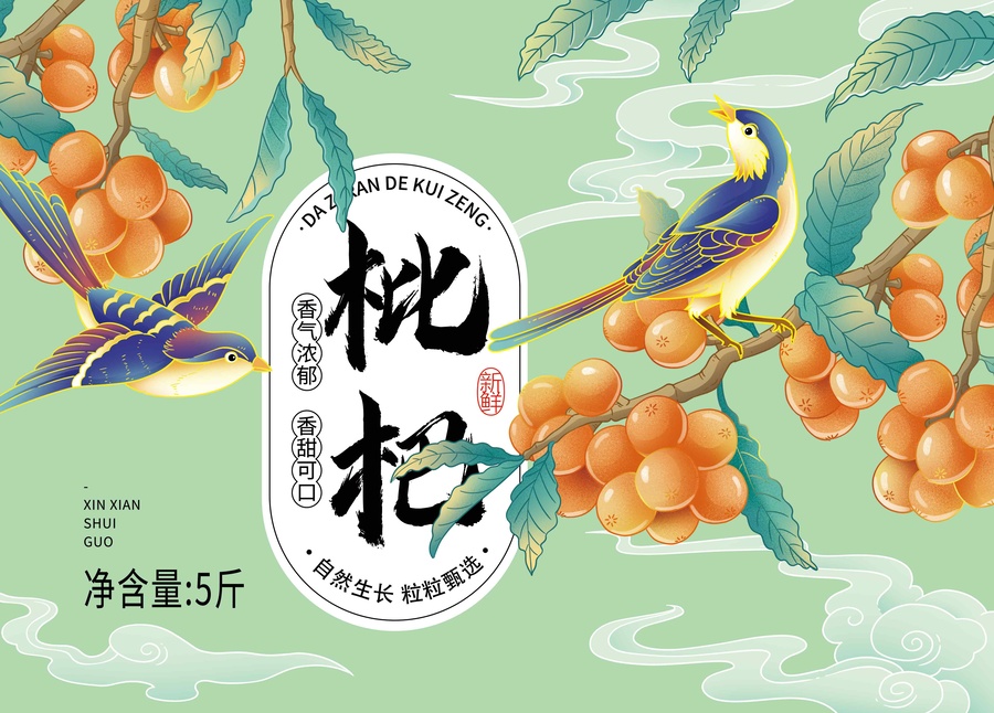 枇杷包裝插畫