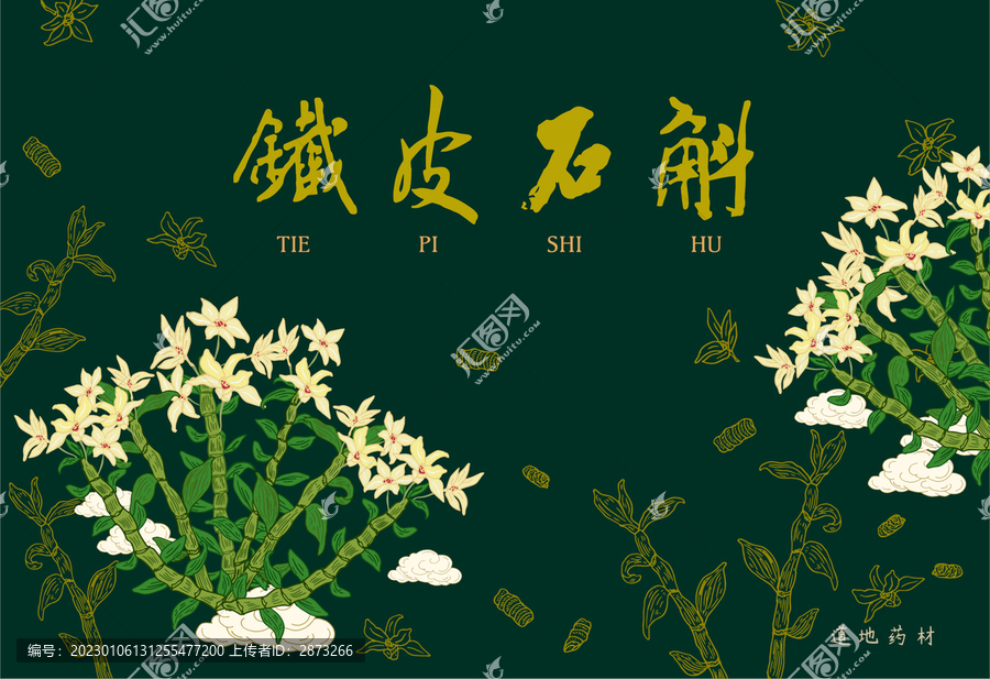 鐵皮石斛包裝插畫