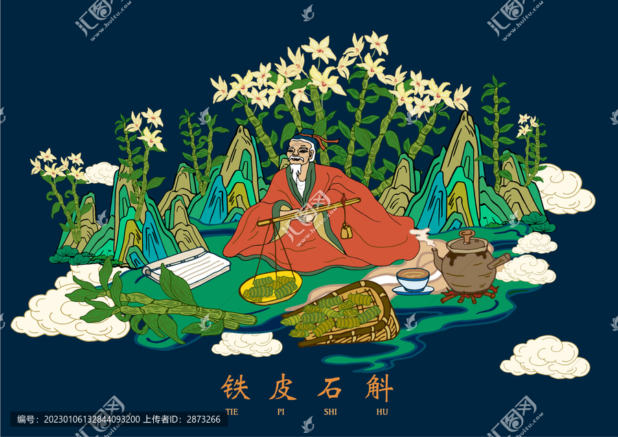 鐵皮石斛插畫