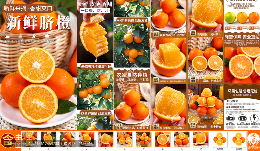 臍橙詳情頁主圖