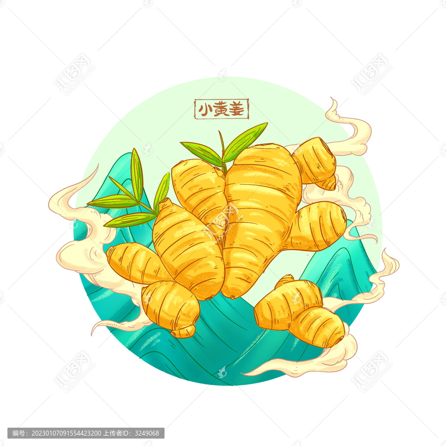 插畫姜