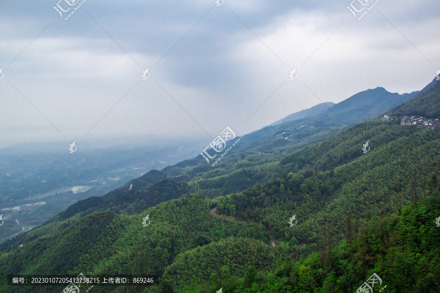 重庆茶山竹海