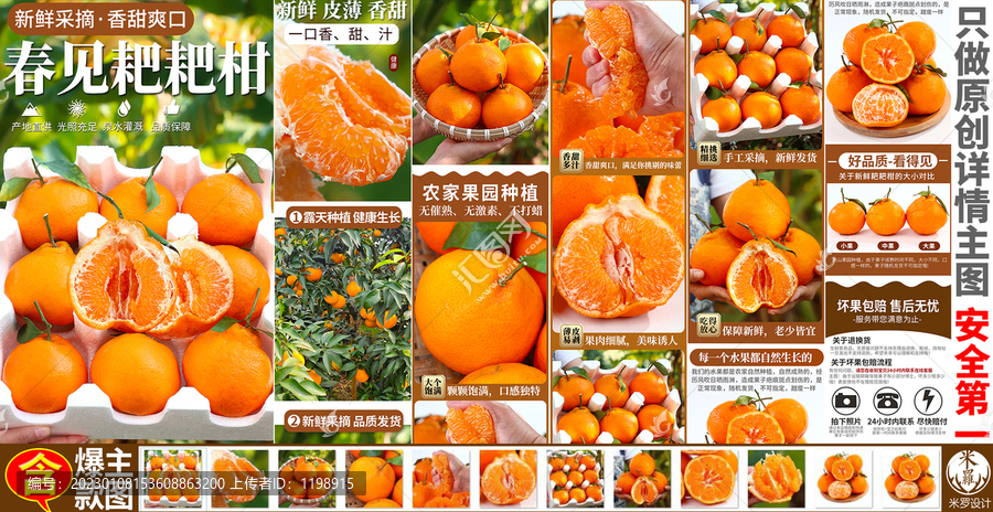 春見耙耙柑詳情頁主圖