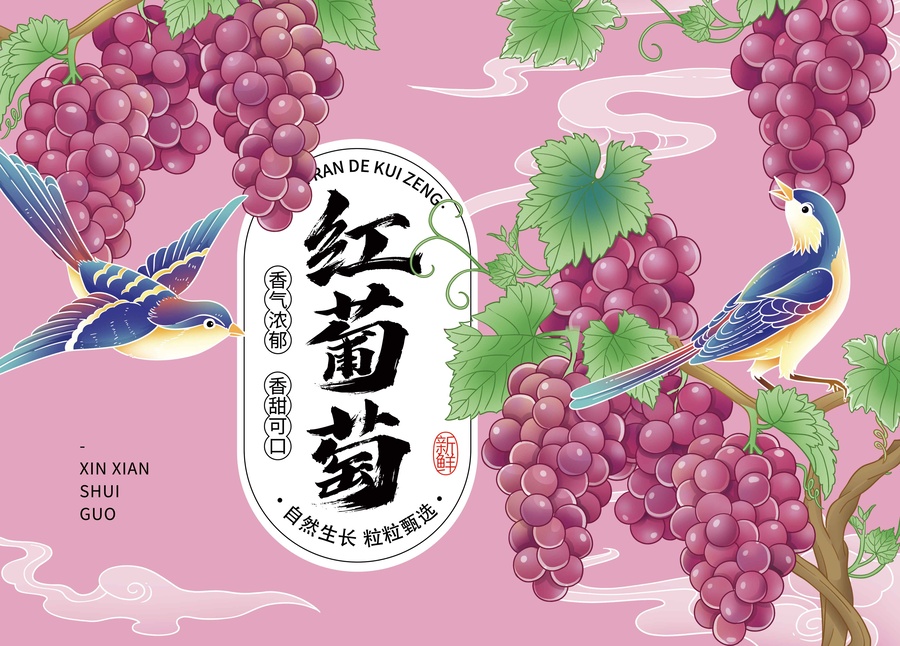紅葡萄包裝插畫