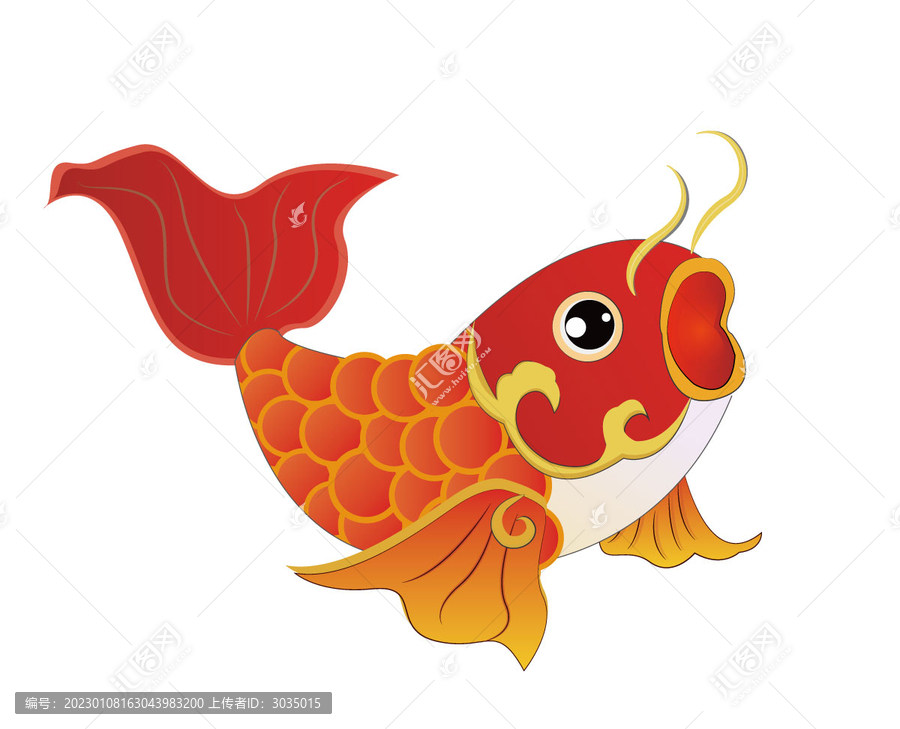 鯉魚錦鯉插畫