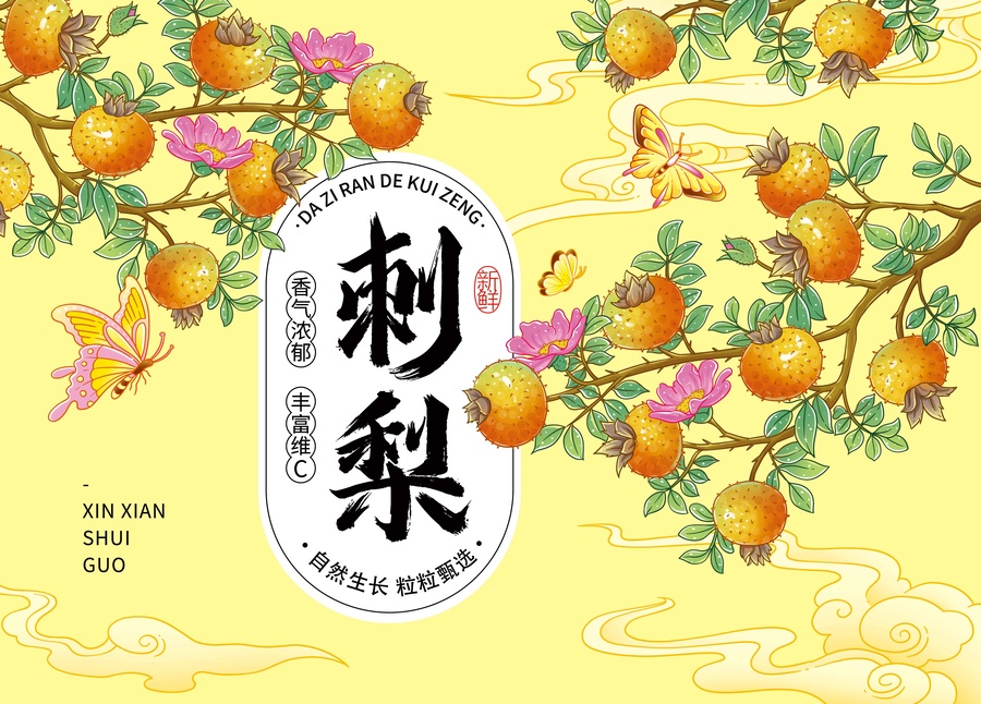 刺梨包裝插畫