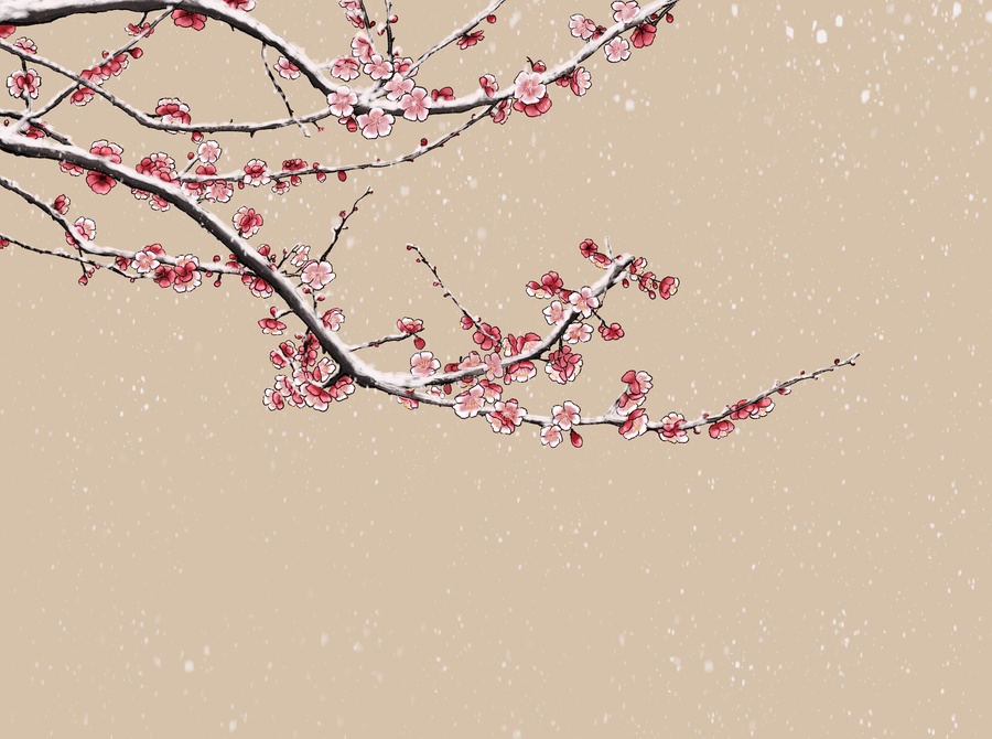雪中紅梅