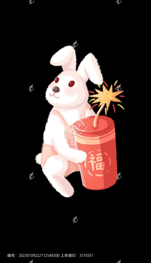 兔子男