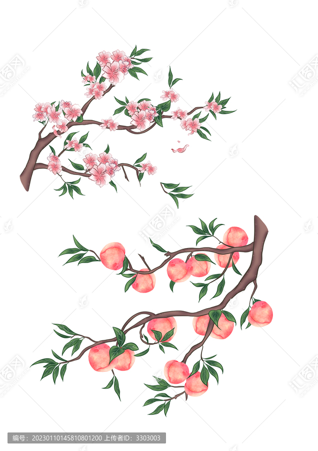 桃樹桃花