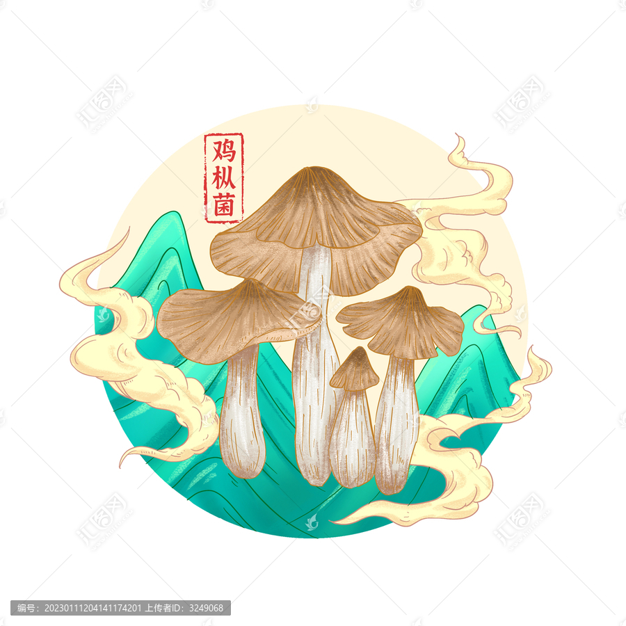 雞樅菌插畫