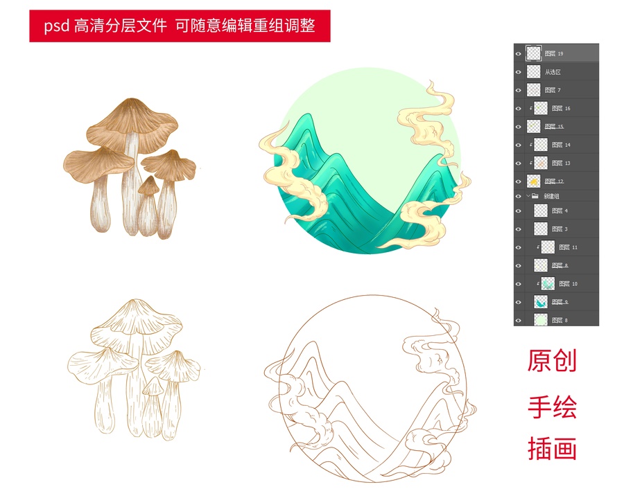 雞樅菌插畫