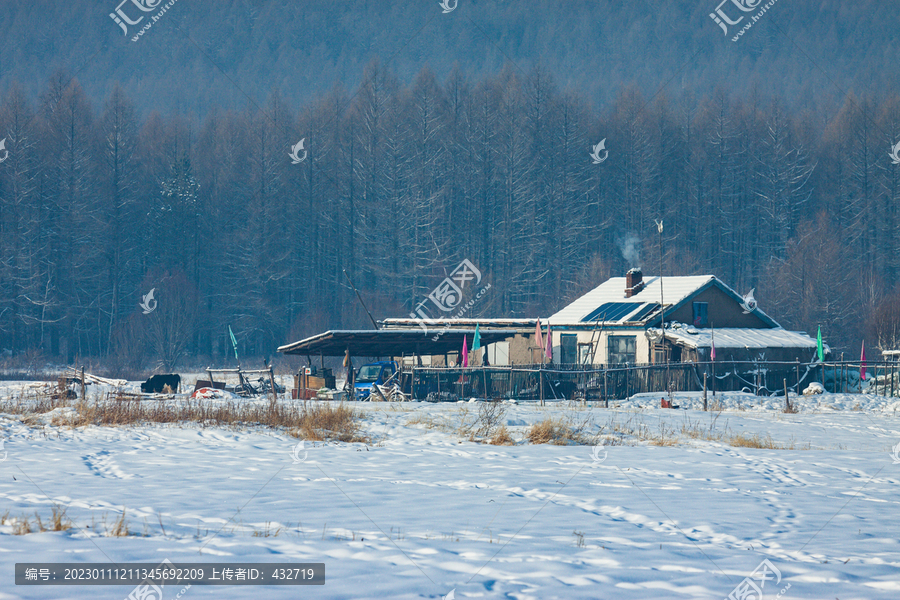 冬季雪原民居森林