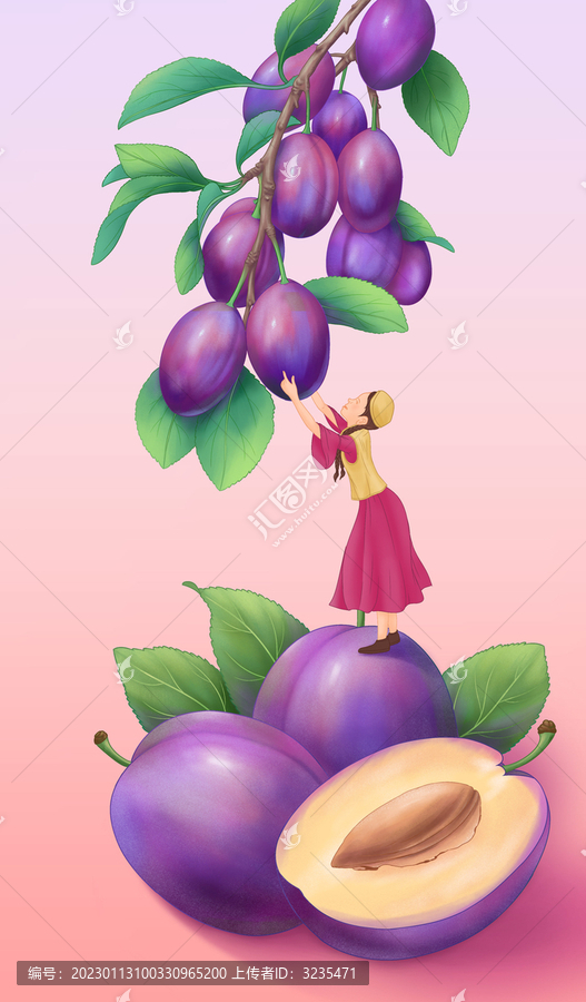 西梅插畫