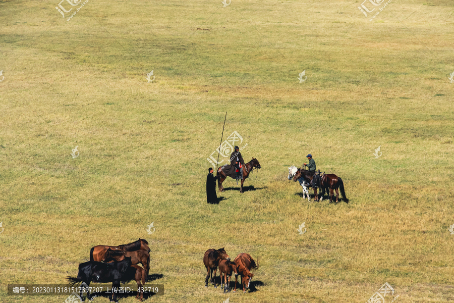 草原蒙古族牧马