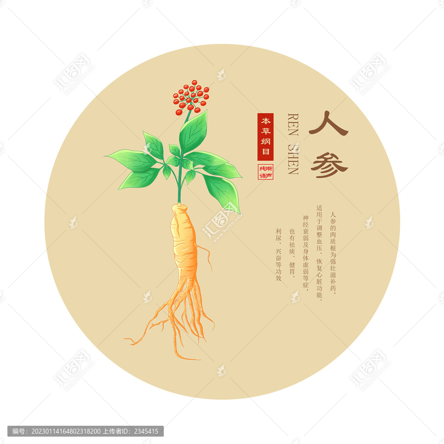 人參