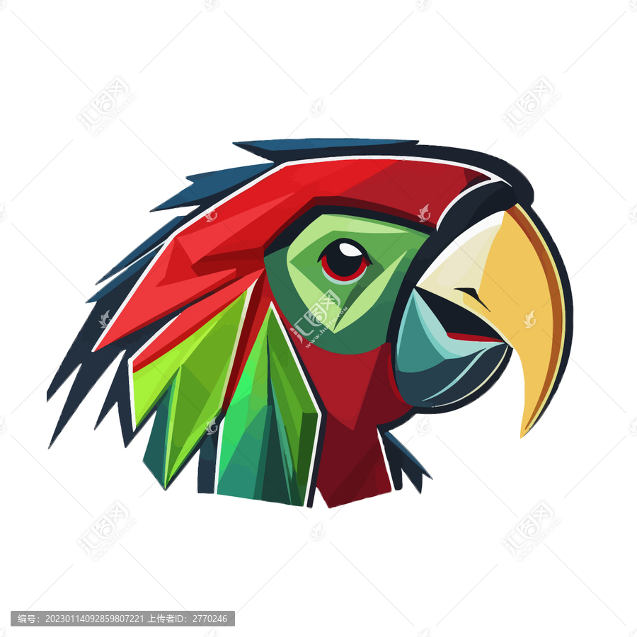 鸚鵡鳥類