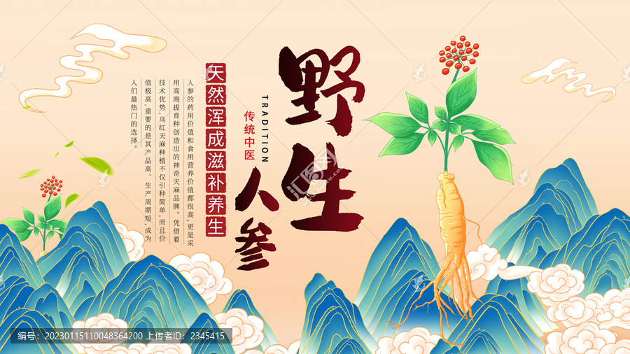 人參海報