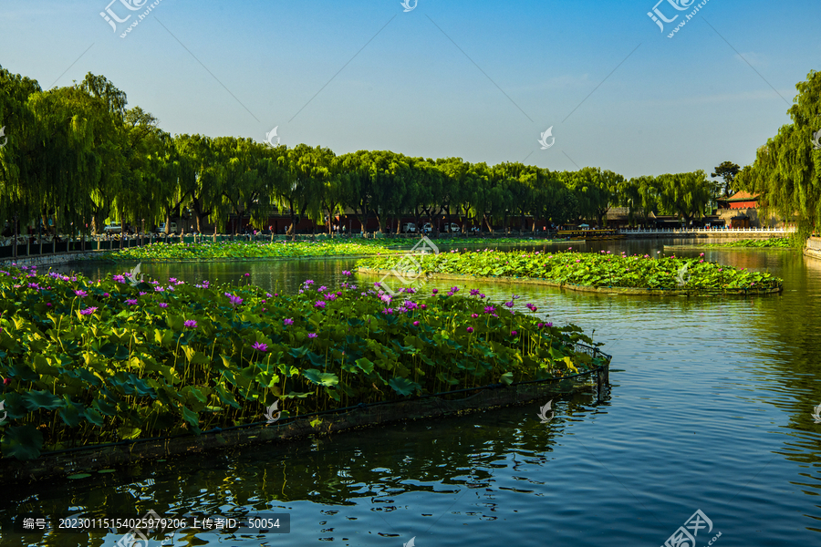 北京什刹海夏日风光