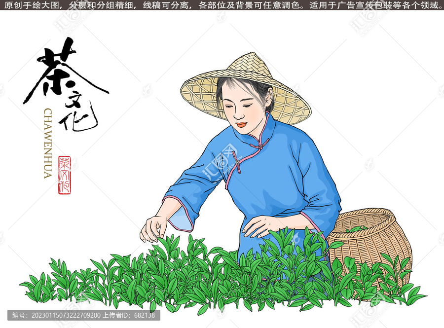 采茶女插畫