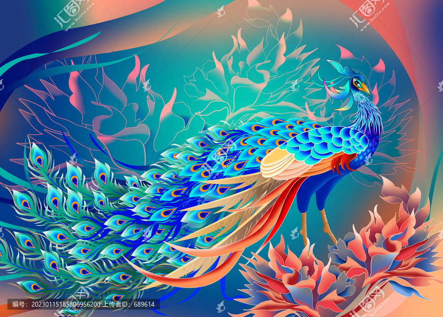 孔雀插畫