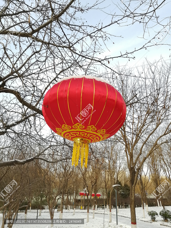 雪后大红灯笼