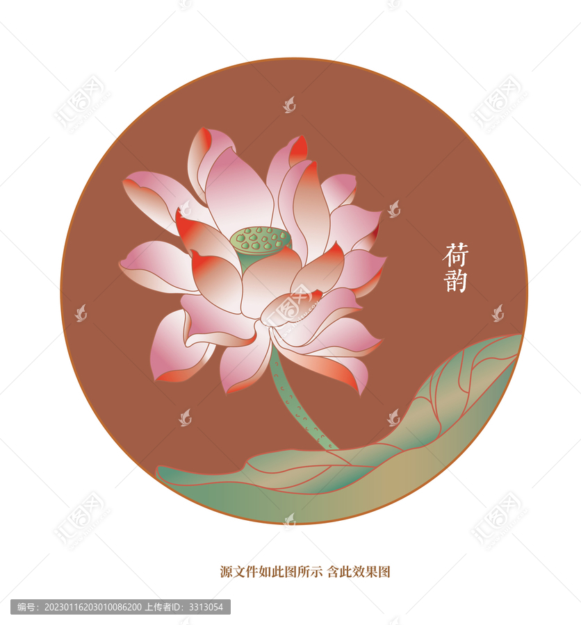 荷韻