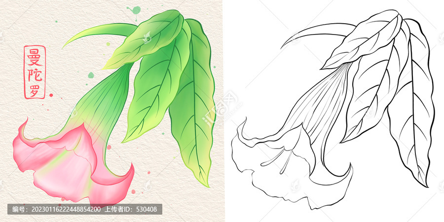 曼陀羅