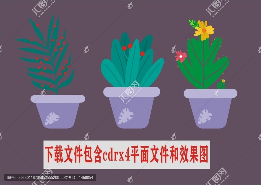 盆栽仙人掌小紅果綠植