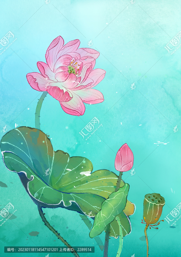 國風(fēng)夏季荷花意境圖