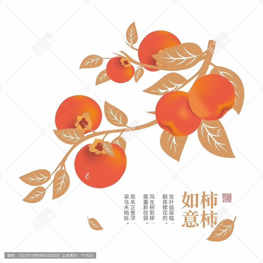 柿子插畫