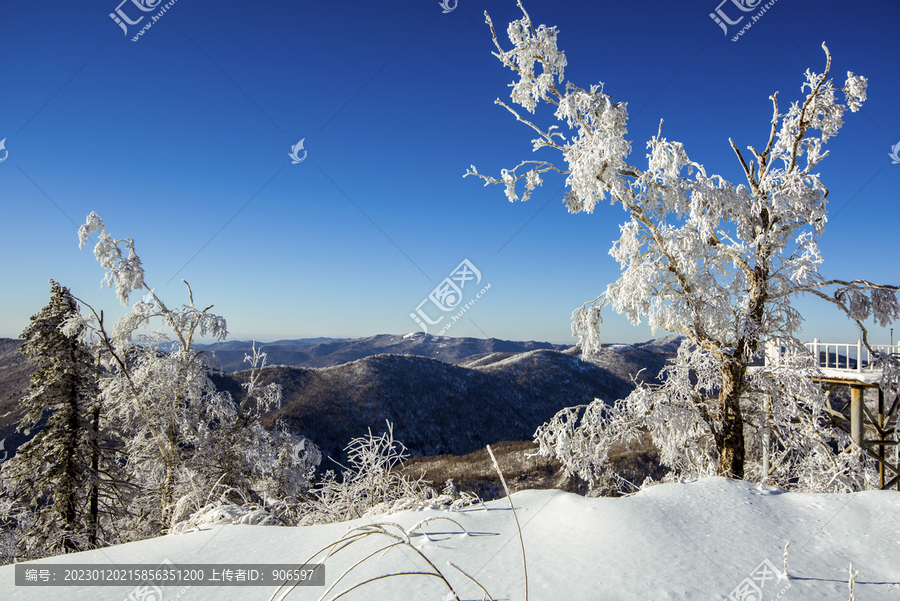 唯美雾凇雪景