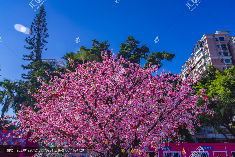 桃花树