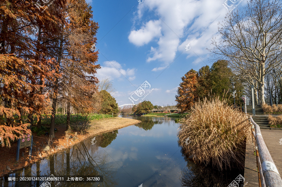 上海后灘濕地公園秋日風景