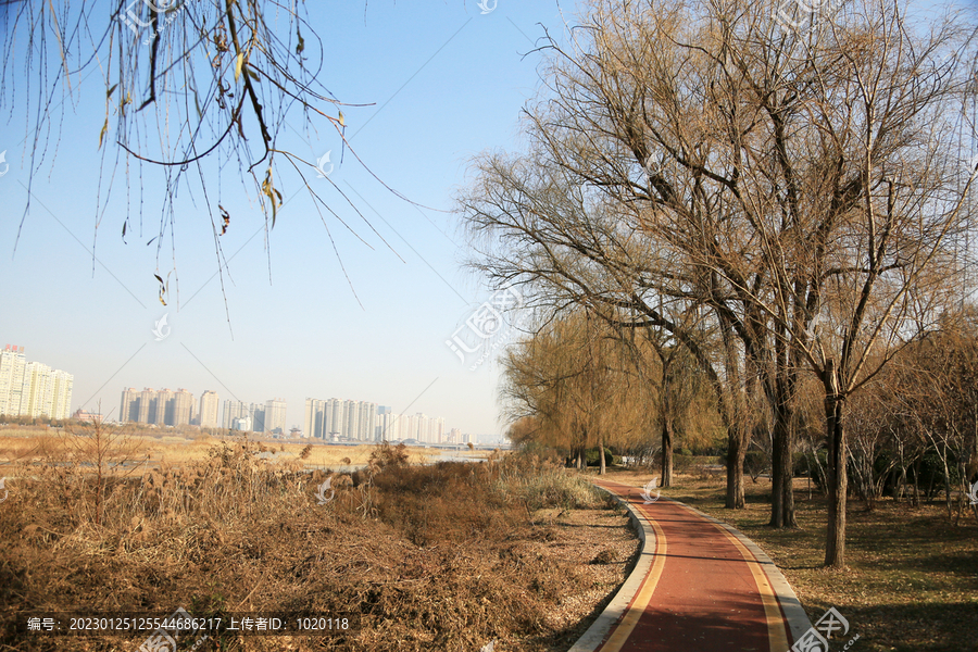 河岸垂柳步道