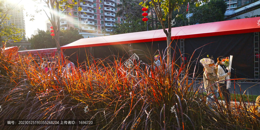 花市风景