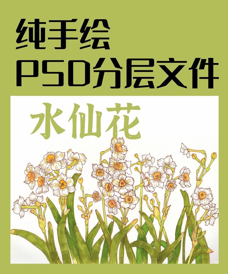 水仙花手繪海報