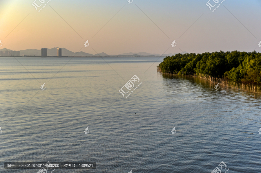 珠海淇澳岛