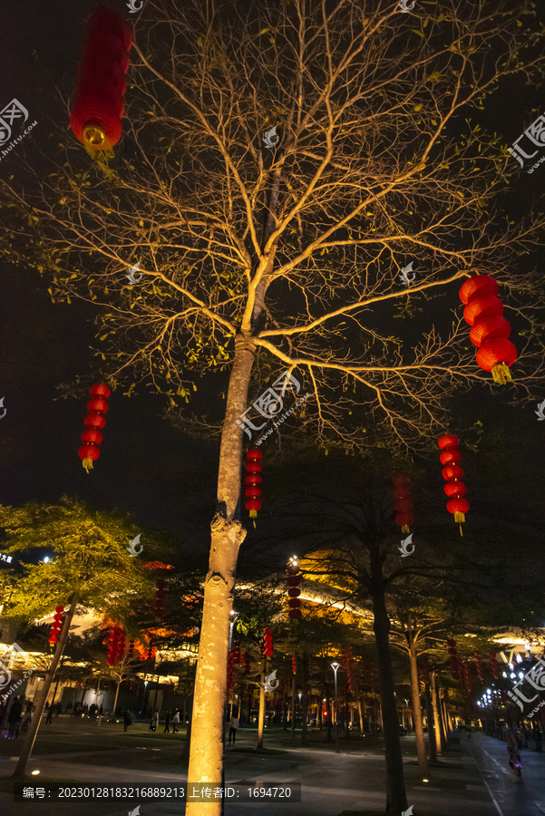 大红灯笼高高挂