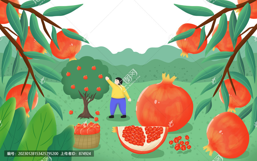 石榴包裝插畫(huà)水果