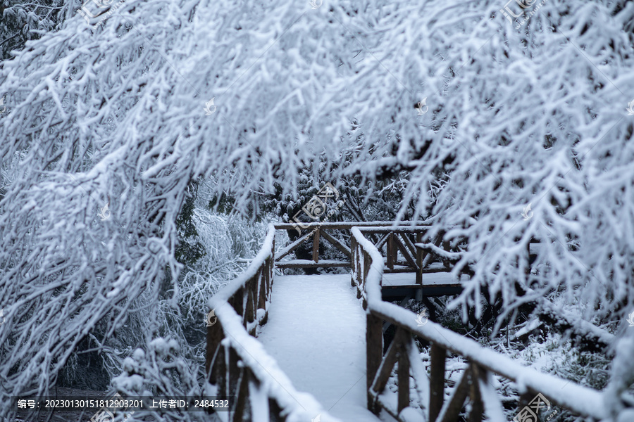 冬季雪景树林的小径