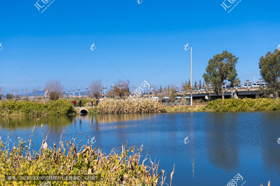 滇池湿地