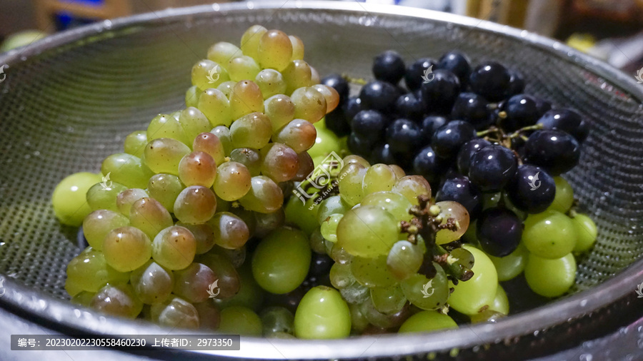 多种葡萄