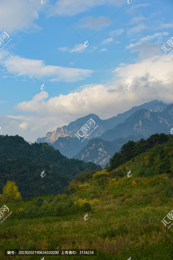 绿水青山