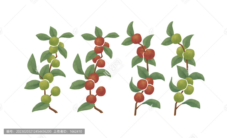 果子樹(shù)枝插畫